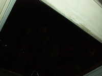  19-I don't know what this is but it looks kind of nice.jpg 